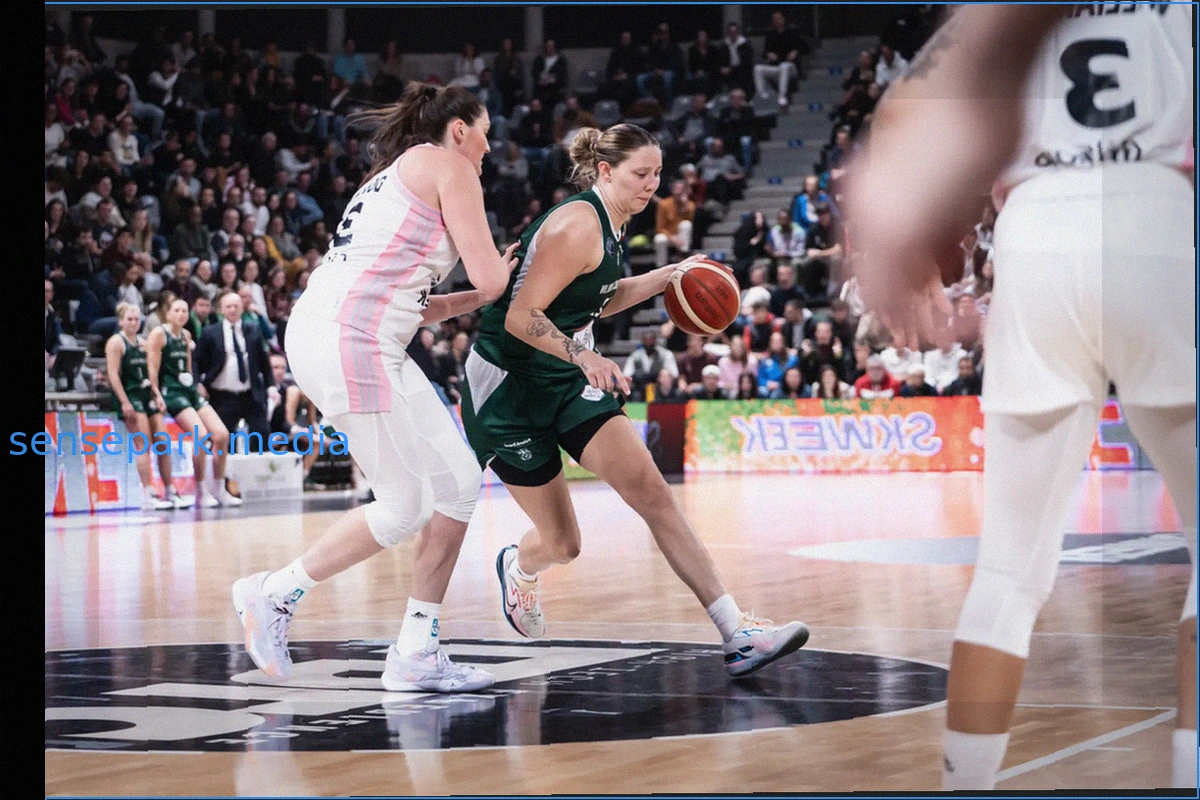 Fans Suspect Ali Abdelaziz is Operating Magomed Ankalaev's X Account to Taunt Jiri Prochazka